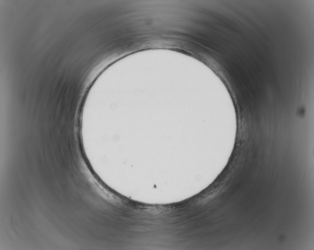 X0000115480803200912181207