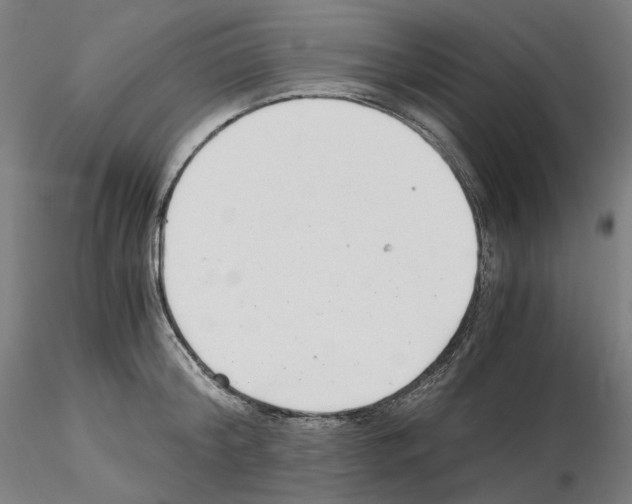 X0000115480804200912181207