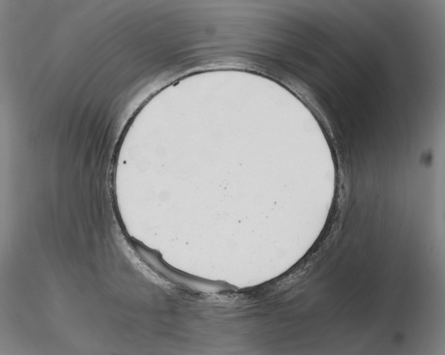 X0000115480805200912181207