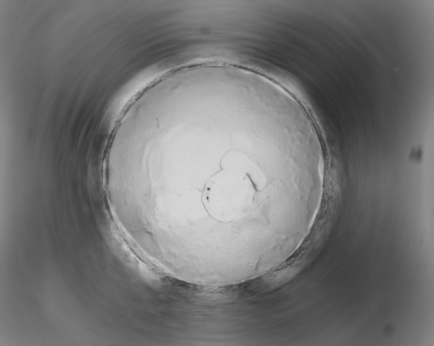 X0000115480807200912181207