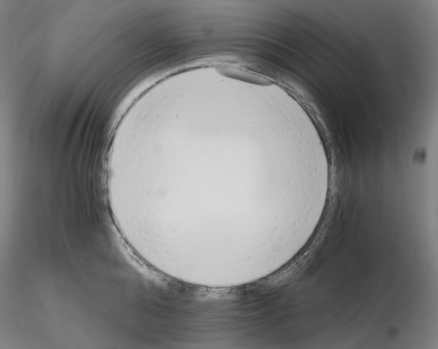 X0000115480808200912181207
