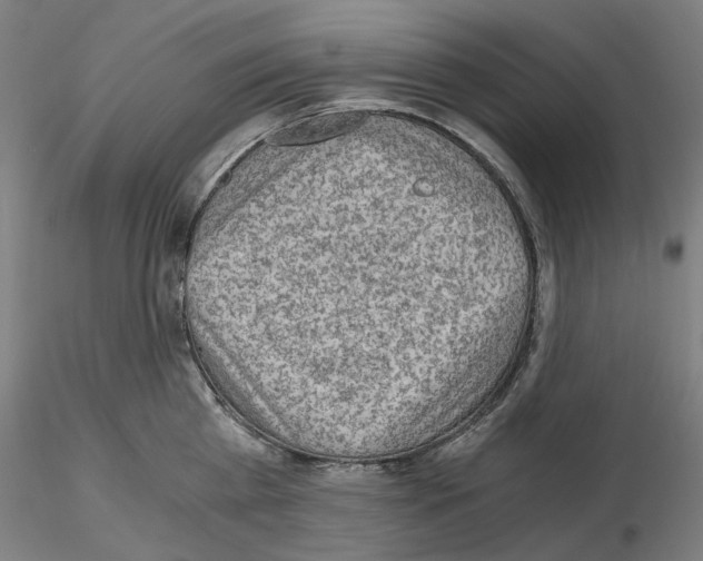 X0000115480809200912181207
