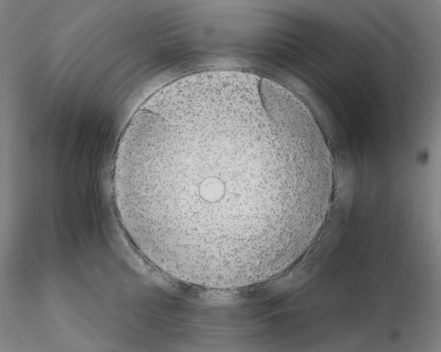 X0000115480810200912181207