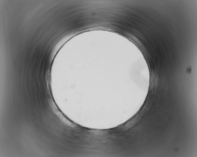 X0000115480812200912181207