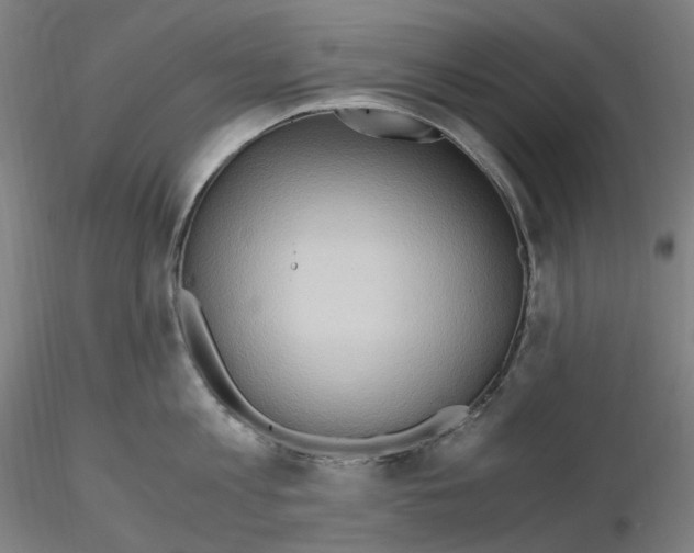 X0000115480813200912181207