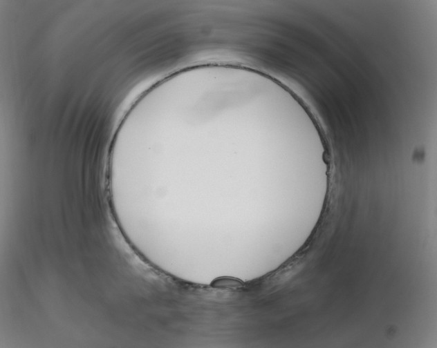 X0000115480815200912181207