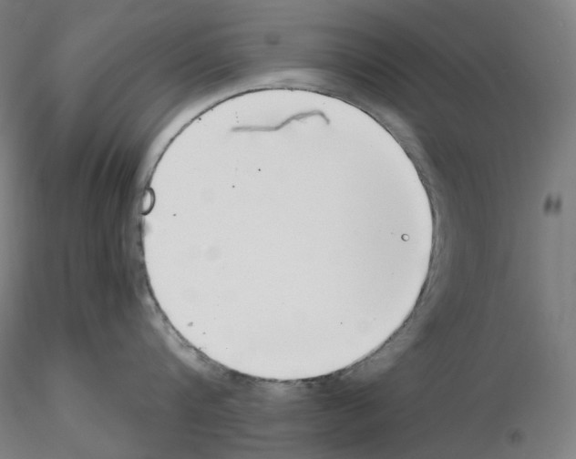 X0000115480816200912181207