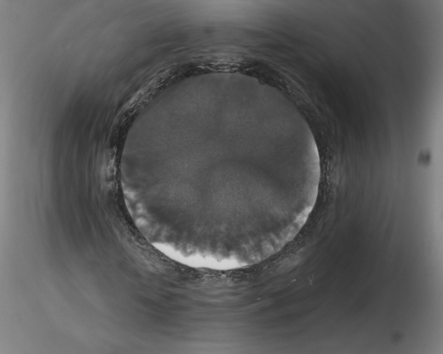 X0000115480818200912181207