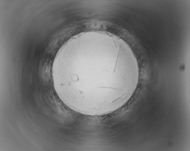 X0000115480820200912181207