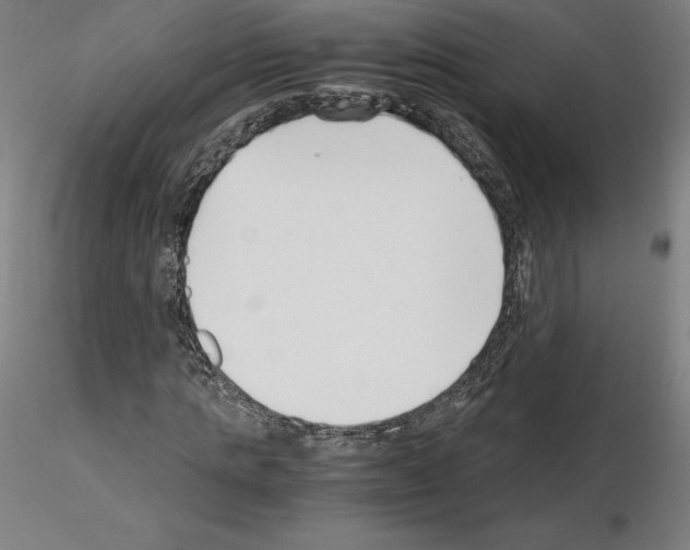 X0000115480821200912181207