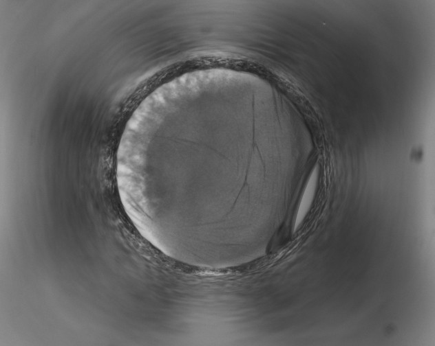 X0000115480822200912181207