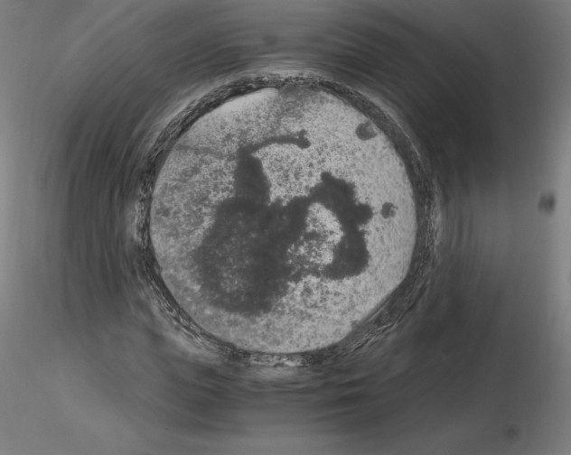 X0000115480823200912181207