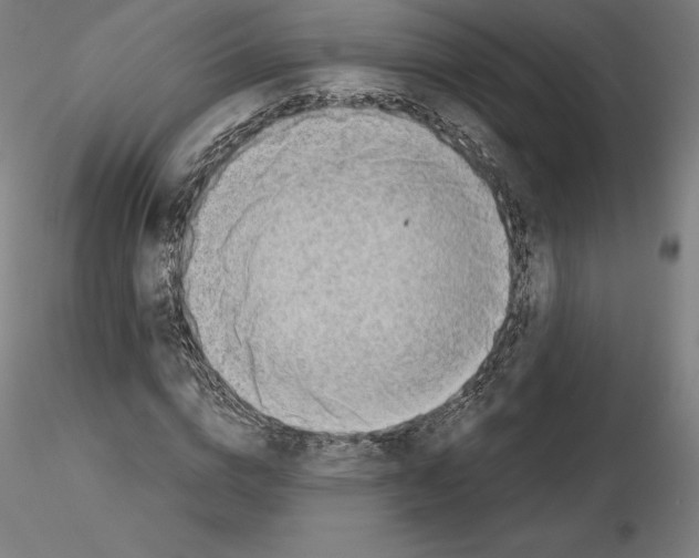 X0000115480824200912181207