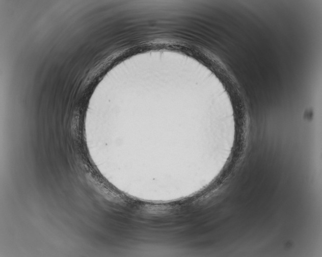 X0000115480825200912181207