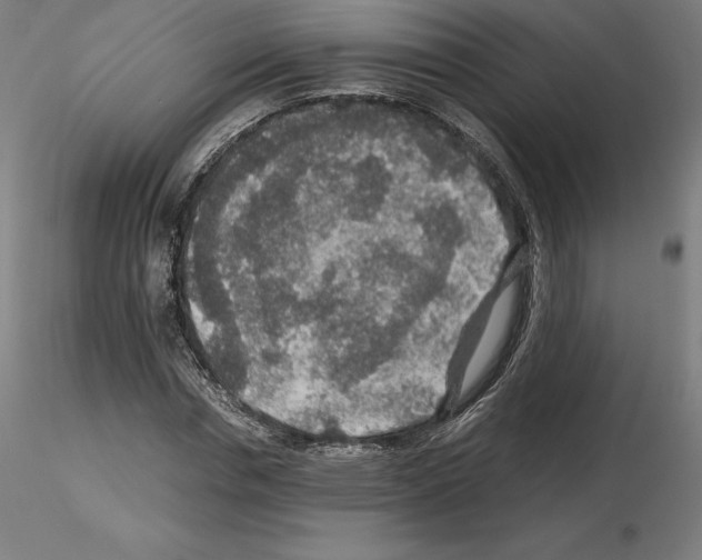 X0000115480826200912181207