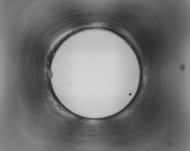 X0000115480827200912181207