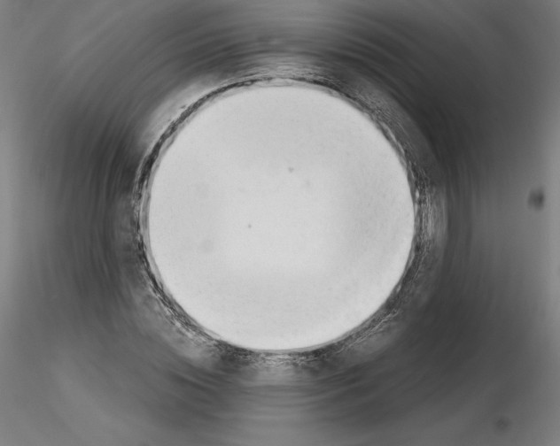 X0000115480828200912181207