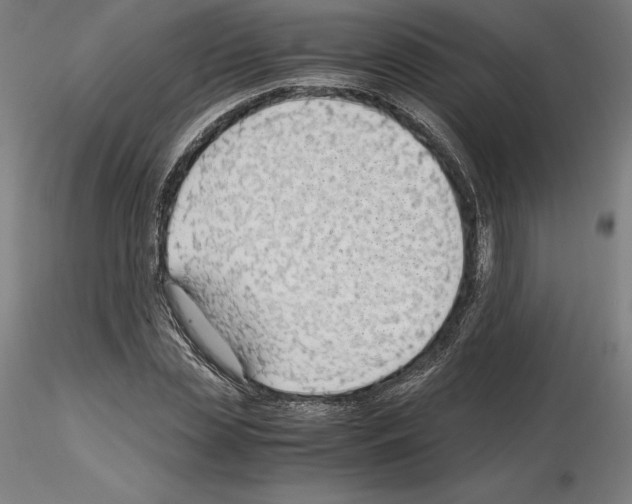 X0000115480829200912181207