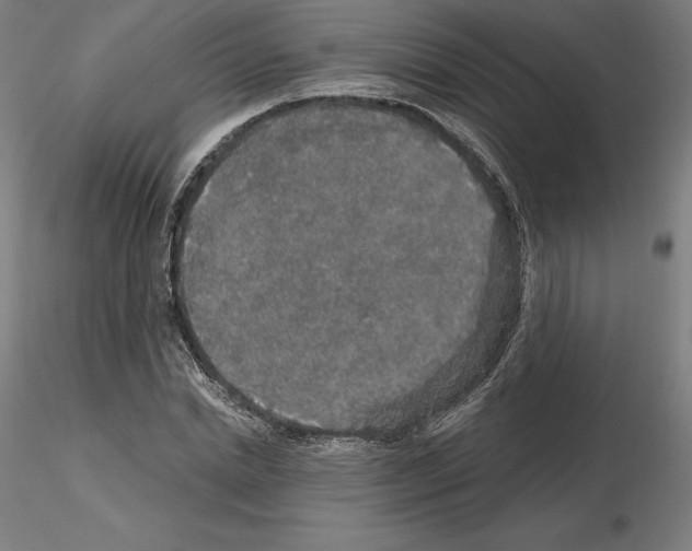 X0000115480830200912181207