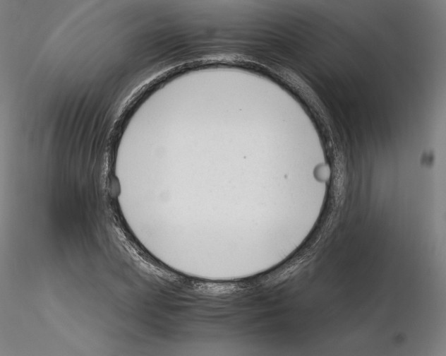 X0000115480831200912181207