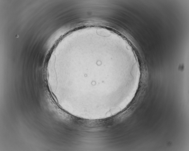X0000115480832200912181207
