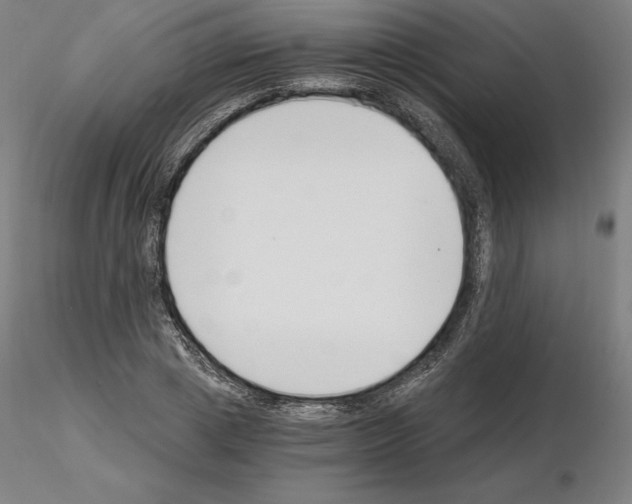 X0000115480833200912181207
