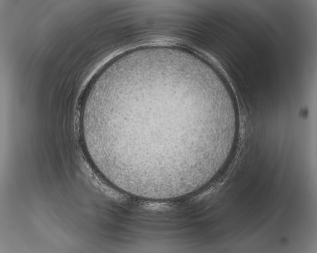 X0000115480835200912181207