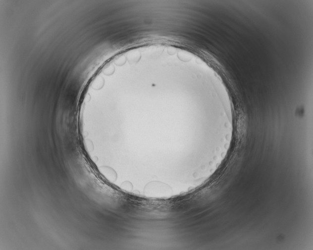 X0000115480836200912181207