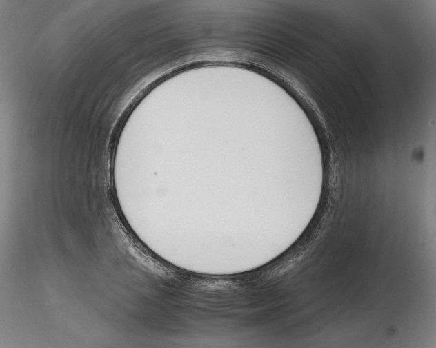 X0000115480837200912181207