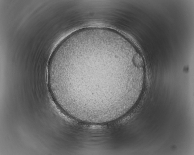 X0000115480839200912181207