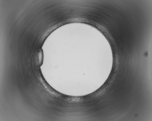 X0000115480841200912181207