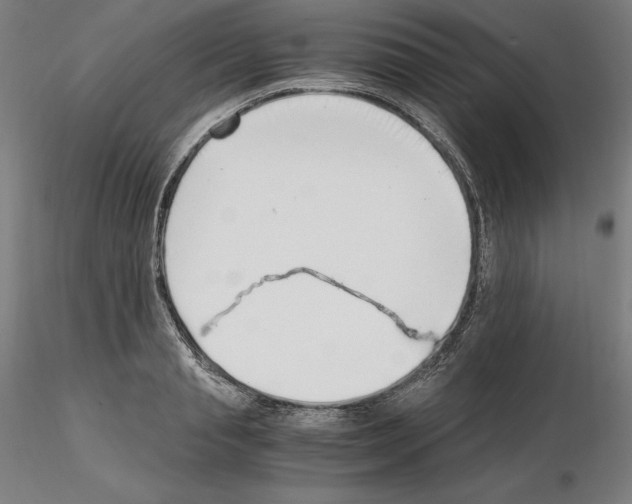 X0000115480845200912181207