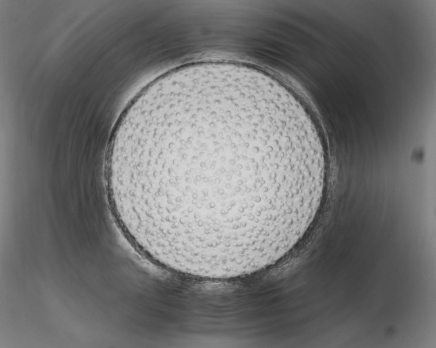 X0000115480847200912181207