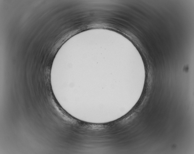 X0000115480849200912181207