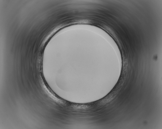 X0000115480851200912181207
