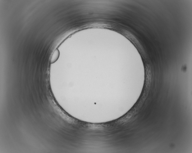 X0000115480852200912181207