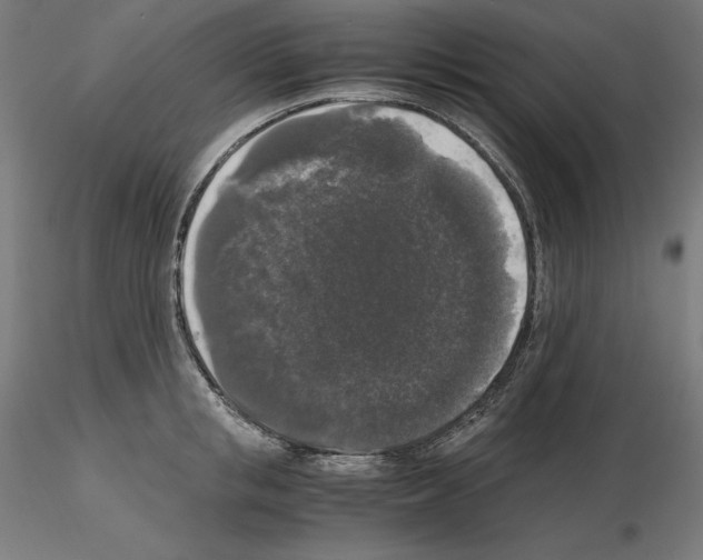 X0000115480853200912181207