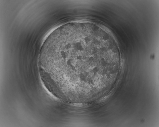 X0000115480855200912181207