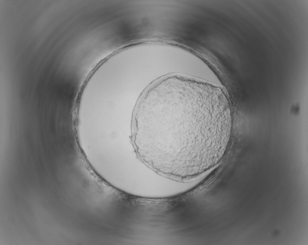 X0000115480856200912181207