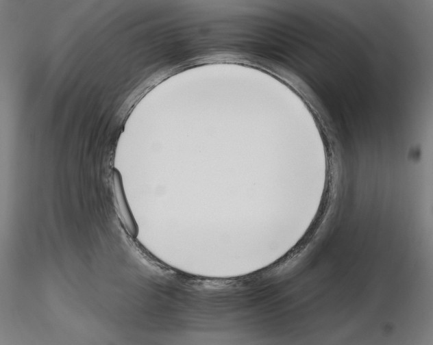 X0000115480857200912181207