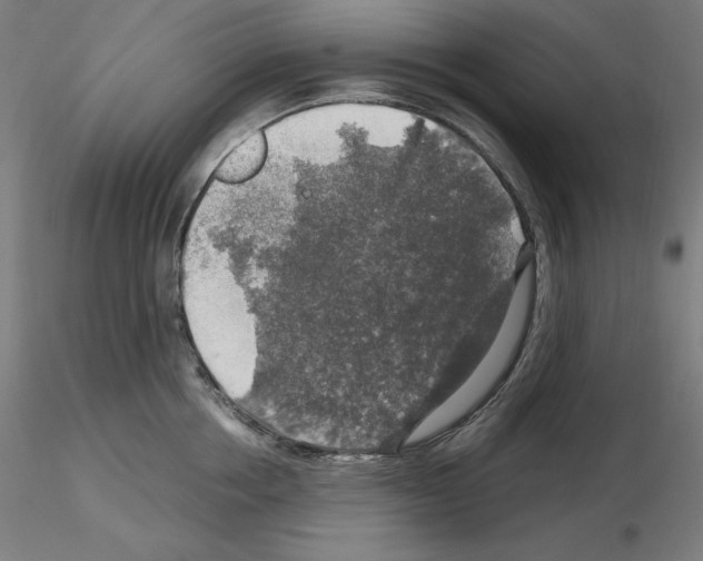 X0000115480858200912181207