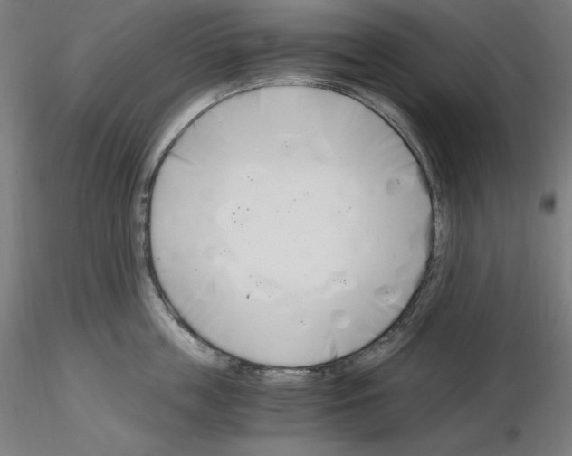 X0000115480859200912181207