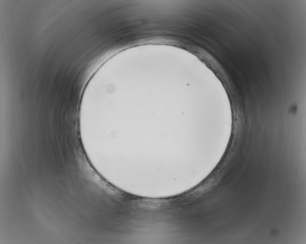 X0000115480860200912181207