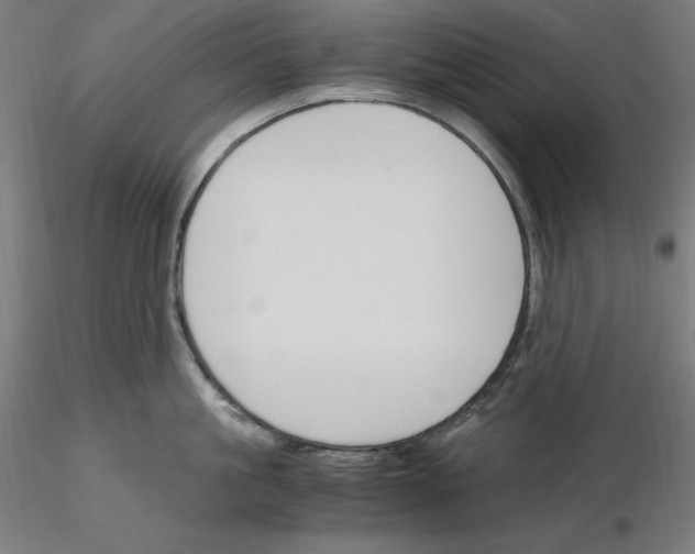 X0000115480861200912181207