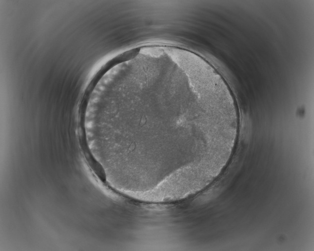X0000115480862200912181207