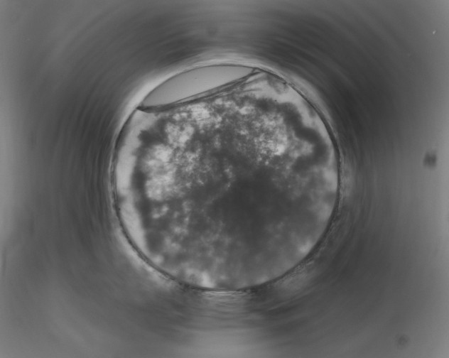 X0000115480863200912181207