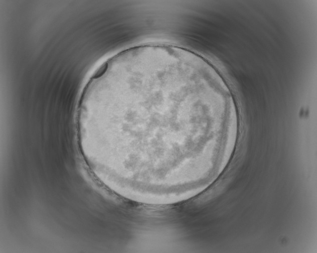 X0000115480864200912181207