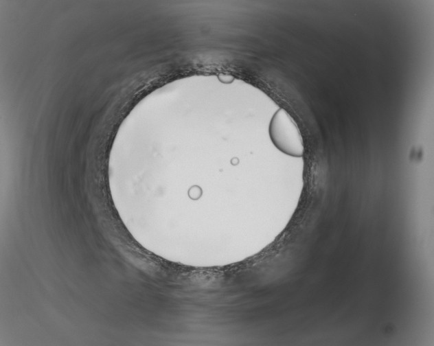 X0000115480865200912181207