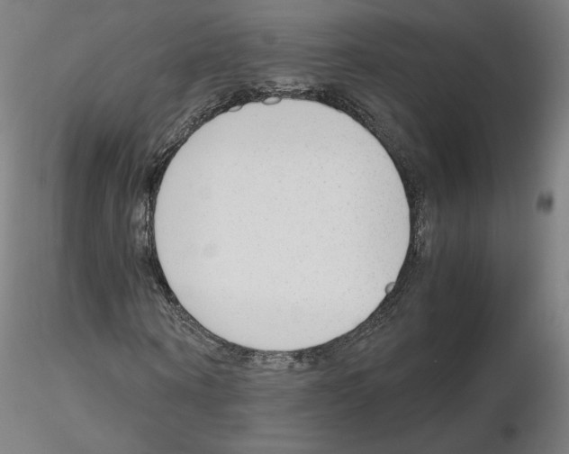 X0000115480866200912181207
