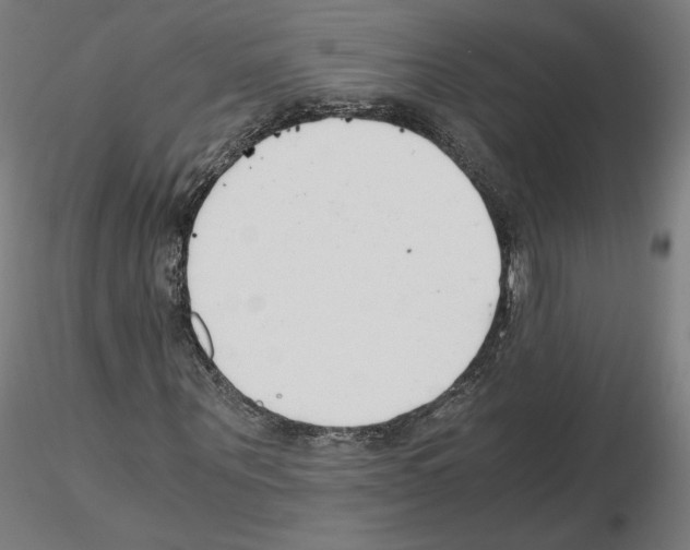 X0000115480867200912181207